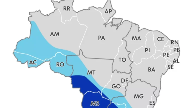 Onda de frio: ao menos 8 capitais devem registrar recordes de baixas temperaturas