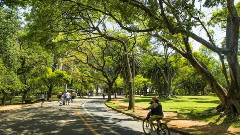 Ibirapuera tem o maior número de visitantes dos últimos cinco anos