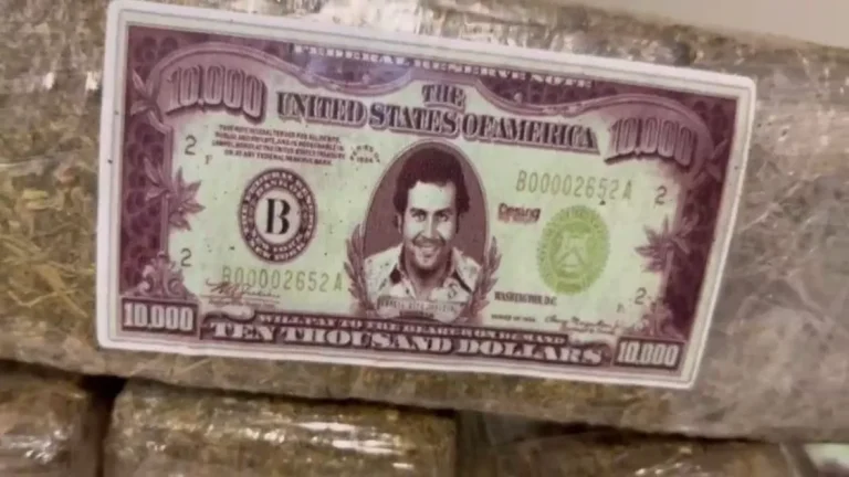 Polícia apreende 2 toneladas de maconha com o rosto de Pablo Escobar em MG