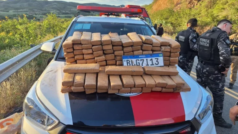 Caminhão tomba com grama sintética e revela “campo de maconha” na Paraíba