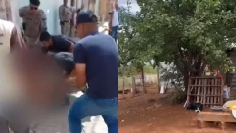 Ataques de pitbull na Bahia deixam mais de 30 aves mortas e três pessoas feridas