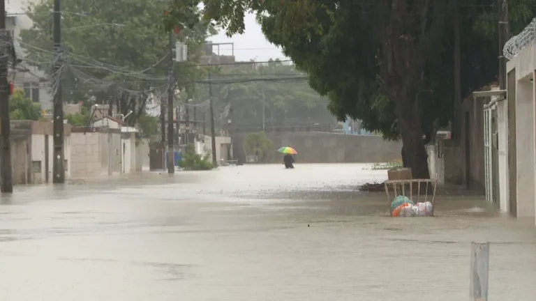 Chuvas causaram alagamentos e deslizamento de barreira em cidades do Grande Recife; confira antes e depois