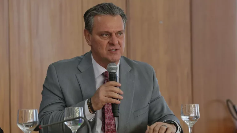 Gripe aviária em animais silvestres tem impacto comercial zero, diz Fávaro