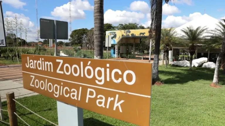 Zoológico de Brasília é fechado por suspeita de gripe aviária