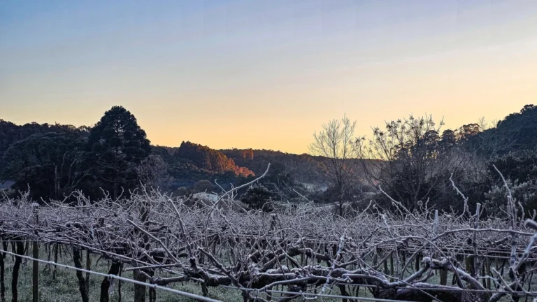 Onda de frio: mais de 10 cidades gaúchas registram temperaturas negativas