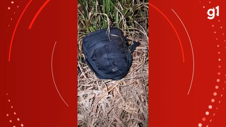 Perícia preliminar aponta que bebê encontrado morto em mochila no RS teve gestação completa e não apresentava sinais de violência