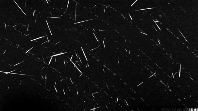 Vídeo: chuvas de meteoros iluminam céu do RS; quase 500 foram registrados