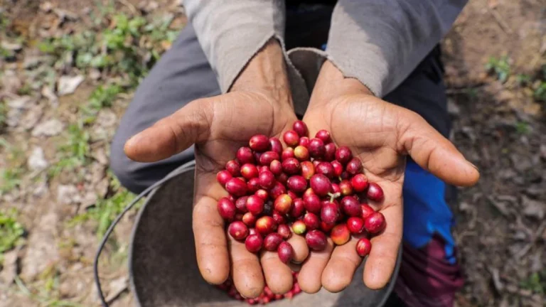 Setor produtivo é chave na estratégia pós-tarifaço