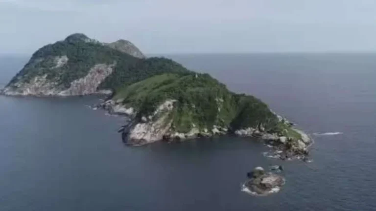 Corpo é encontrado após lancha desaparecer perto de ilha proibida em SP