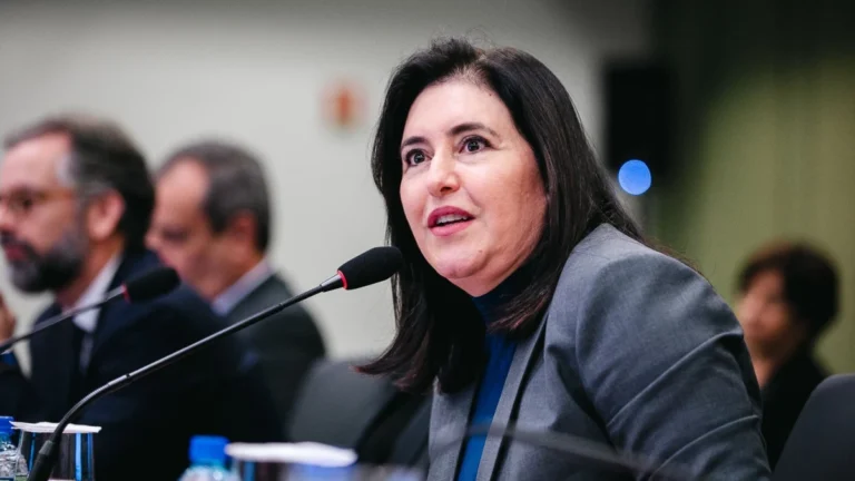 Ocupação do Congresso pela oposição foi uma tentativa de golpe, diz Tebet