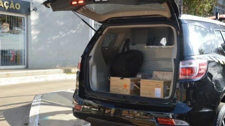 PF investiga ligação entre apreensões recorde de ouro na Amazônia Legal