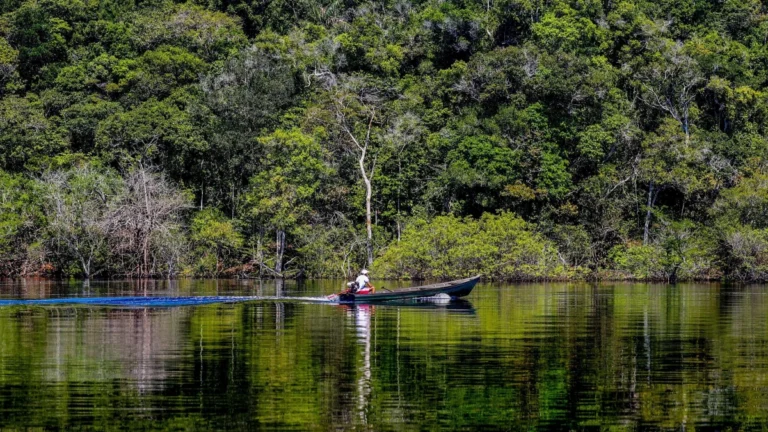 Amazônia tem potencial em microrganismos para uso agrícola e farmacêutico