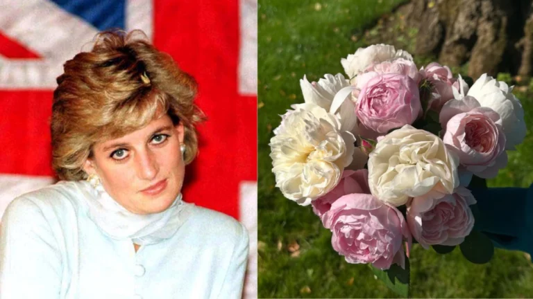 Princesa Diana recebe homenagem do irmão 28 anos após a sua morte