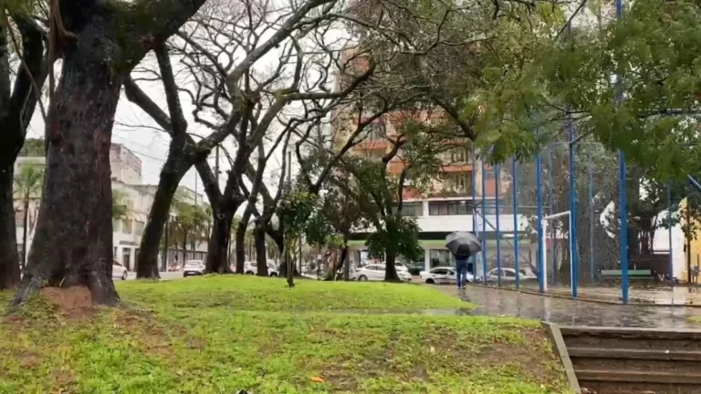 Porto Alegre tem alagamento, queda de árvore e falta de energia nesta manhã