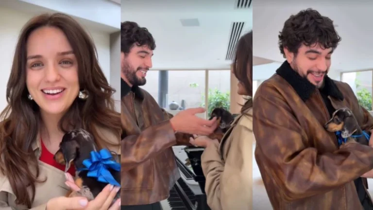 Rafa Kalimann presenteia Nattan com filhote de cachorro