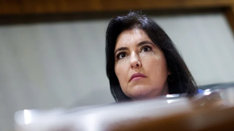 Tarifaço: Temos minerais críticos a oferecer aos EUA, diz Tebet