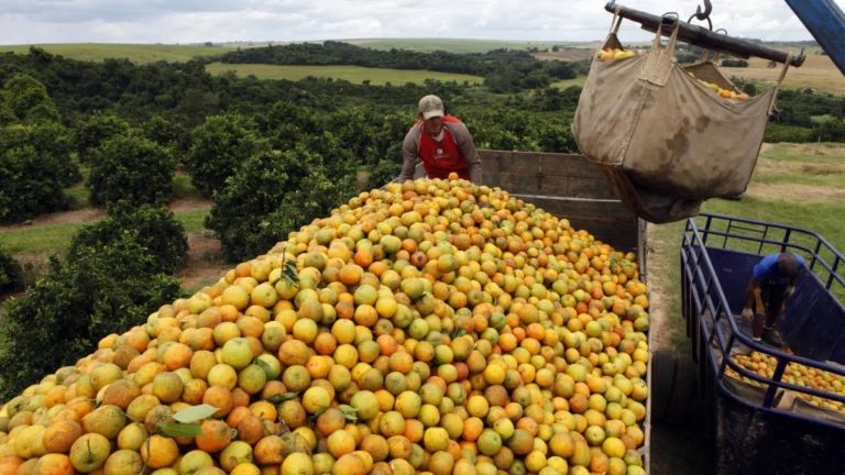 Setor de suco de laranja pode ter prejuízo de R$ 1,54 bi com tarifa de 50%