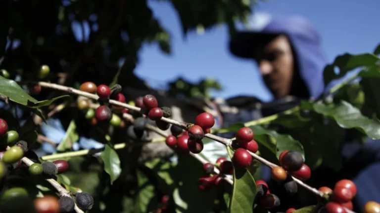 Governo prepara ação na OMC enquanto negocia tarifaço com os EUA