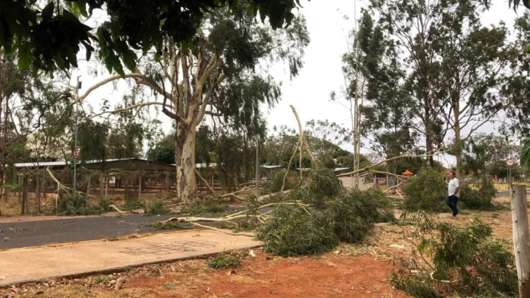 Defesa Civil Nacional emite quase 500 alertas de desastres de grande perigo