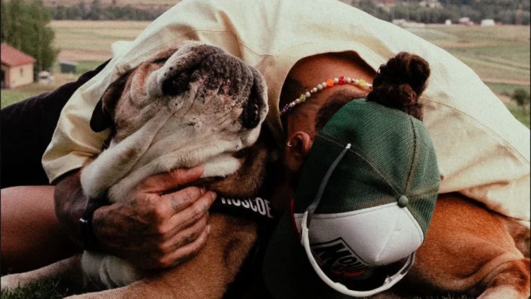 Morre Roscoe, cachorro do piloto Lewis Hamilton: “melhor amigo”