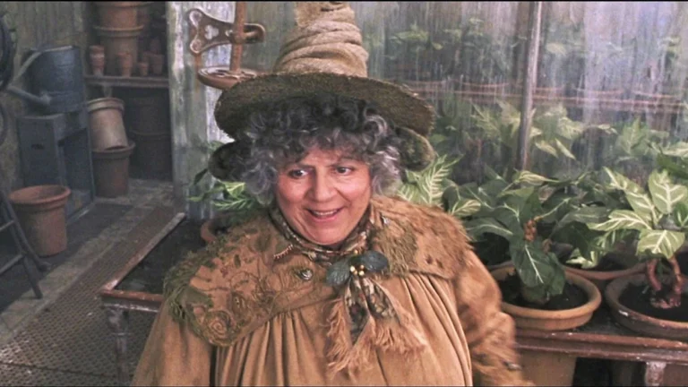 “Harry Potter”: professores da saga são escalados para série