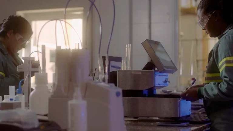 O papel da Cosan na construção de um Brasil mais sustentável