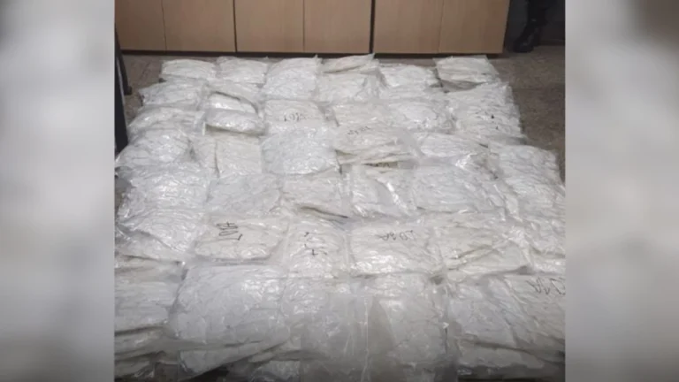 PM apreende mais de 100 mil papelotes de cocaína na zona Sul de SP