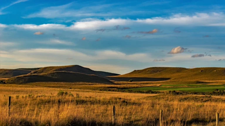 RS: Pampa registra maior perda de vegetação nos últimos 40 anos