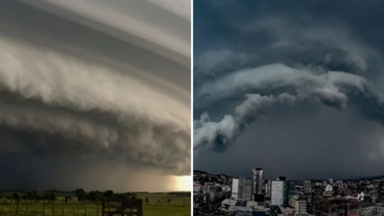 Formação de ciclone deve atingir o Brasil nos próximos dias; saiba as áreas que estão sob alerta