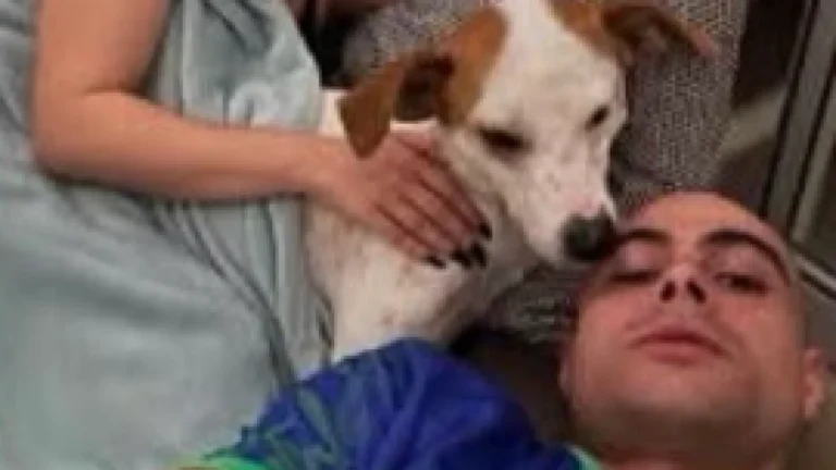 “Caramelo”: Tata Werneck e Rafa Vitti adotam cão de três patas
