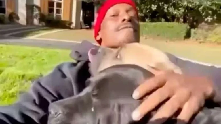 Ator de Velozes & Furiosos é investigado após sumir com cães envolvidos em morte de pet de vizinho