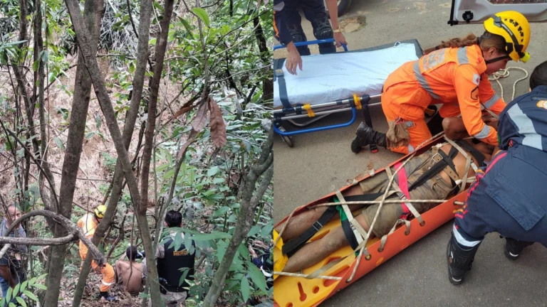 MG: Homem cai em buraco e sobrevive quatro dias no local comendo mangas