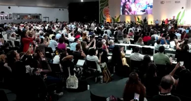 Aplaudida de pé, Marina Silva se emociona em plenária no fim da COP30