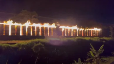 Vídeo: trem em movimento com celulose é incendiado no litoral de São Paulo