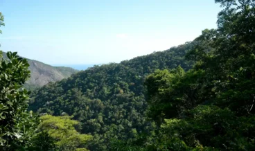 Com fundo, Brasil quer aliar lucro à preservação de florestas tropicais