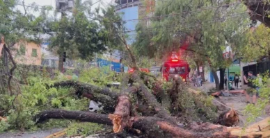 Sem criticar Enel, ministro cobra Aneel sobre apagões em SP