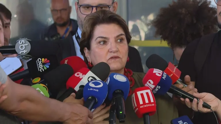 Número de feminicídios no Brasil é inadmissível, diz Ministra das Mulheres