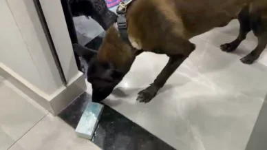 PF mira tráfico internacional de drogas ligado ao PCC em São Paulo