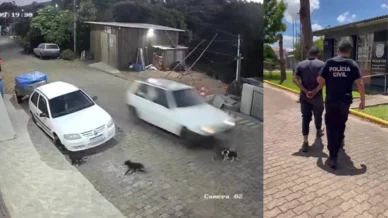 Homem que confessou atropelar cães de propósito vira réu no RS