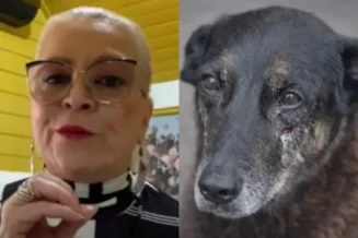 Astróloga vê “maldade impregnada no espírito” de jovem do caso Orelha