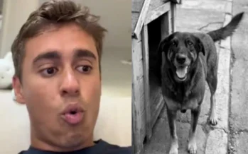 Caso do cão Orelha explode nas redes e Nikolas Ferreira dispara contra a esquerda