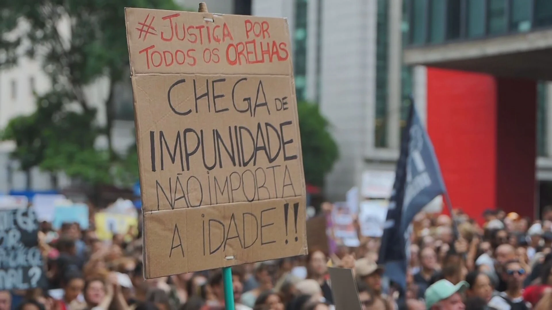 Maus-tratos a animais: 