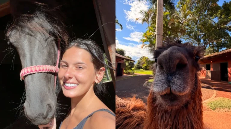 Ana Castela compartilha fotos dos animais da fazenda em que mora; veja