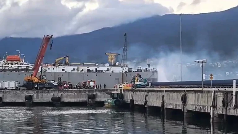 Navio com gado pega fogo no Porto de São Sebastião, em SP