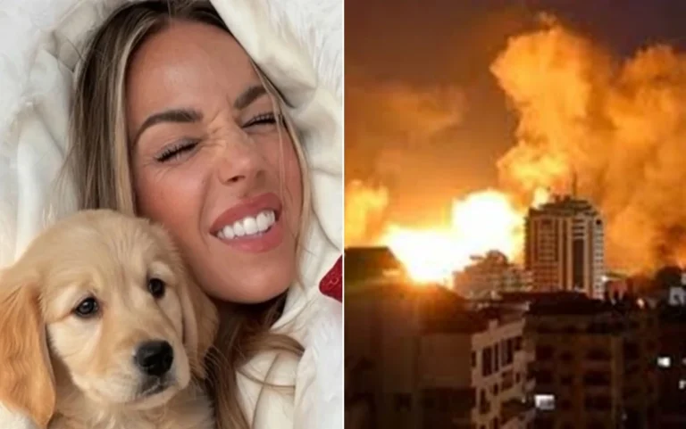 Influenciadora abandona cachorro em meio ao caos da guerra e vira alvo de ataques