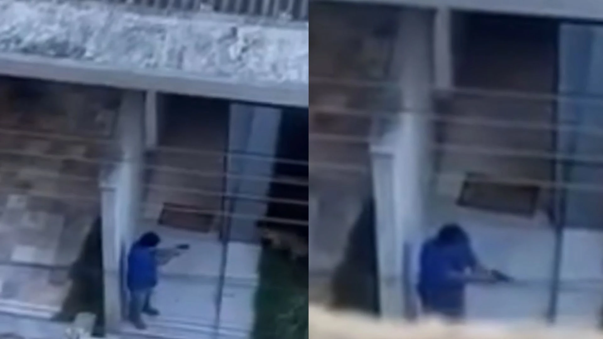 Homem é preso após matar cão a tiros em Minas Gerais; veja vídeo