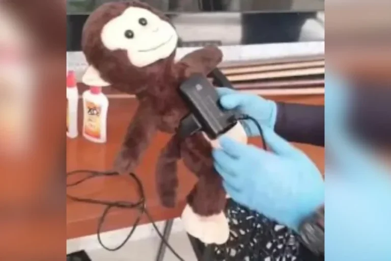 Chefe de facção colocou tornozeleira em ursinho para enganar a polícia