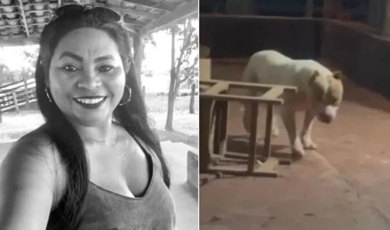 Caso Maria José: Sem sangue no pitbull e contradição do marido, polícia abre investigação no MA
