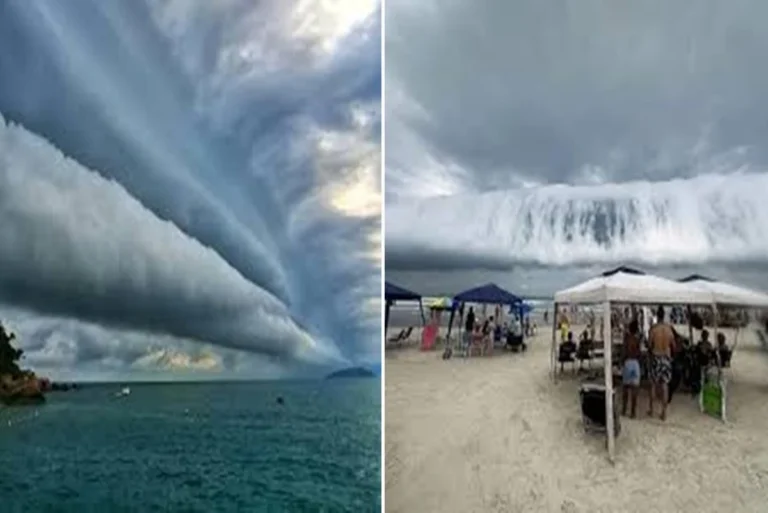 Vídeo: Nuvem em formato de tsunami surpreende e assusta banhistas em SP