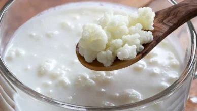 Kefir em casa: passo a passo para fazer seu probiótico natural